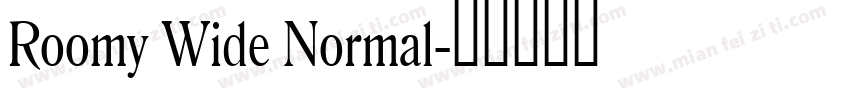Roomy Wide Normal字体转换